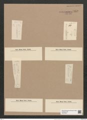 Thalassiothrix nitzschioides Grun. (de-Toni-Nr.: Genus 67, Species 2671) Zeichnungen Sammlung Grunow Nr. 5452 (NHMW-BOT-W0373870)